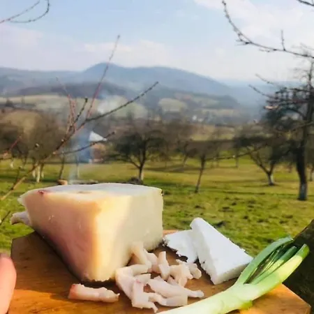 Gazde/Camere de închiriat Pensiunea Casa Mariuca *